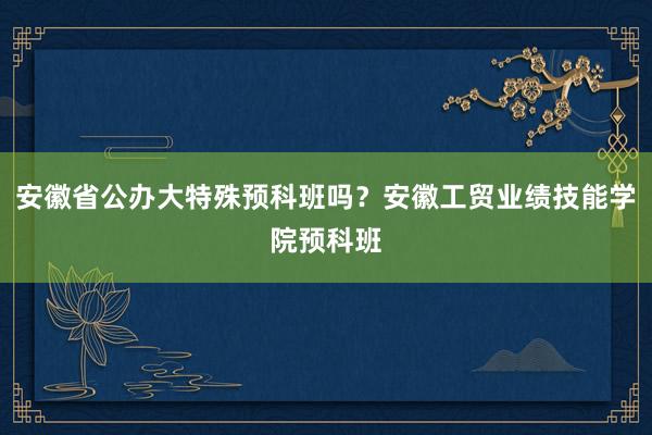 安徽省公办大特殊预科班吗？安徽工贸业绩技能学院预科班